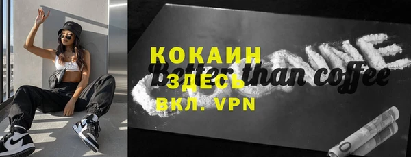 хмурый Сосновый Бор