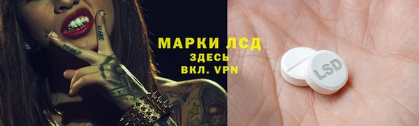 хмурый Сосновый Бор