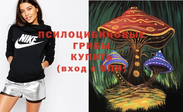 кокс Сосновка