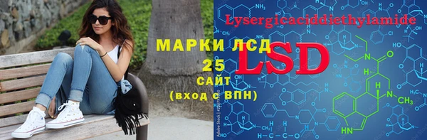 хмурый Сосновый Бор