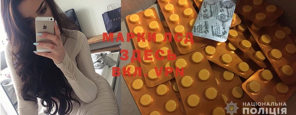 хмурый Сосновый Бор
