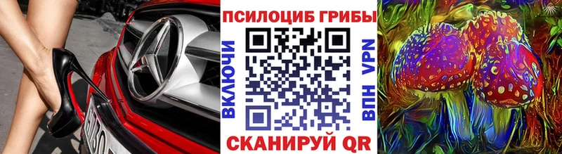 Галлюциногенные грибы GOLDEN TEACHER  Гдов 
