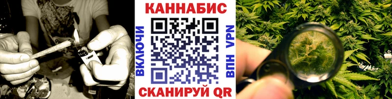 Марихуана Amnesia  наркота  Гдов 
